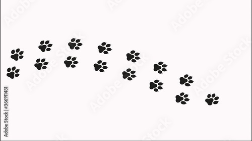 Animal paw footprint, appearing tracks, walking trace, graphic animation