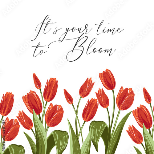 Time to bloom quote and red tulip border. Spring horizontal seamless pattern. Floral background print with blossom vector flowers. Simple digital watercolor drawing. Repeatable abstract illustration