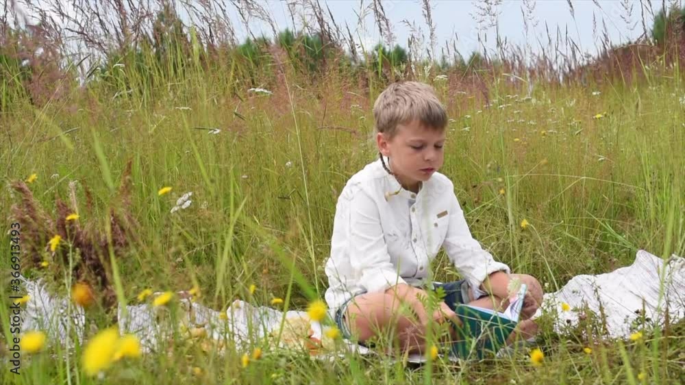 a blond boy reads a book during a picnic in a meadow a blond boy reads a book during a picnic in a meadow