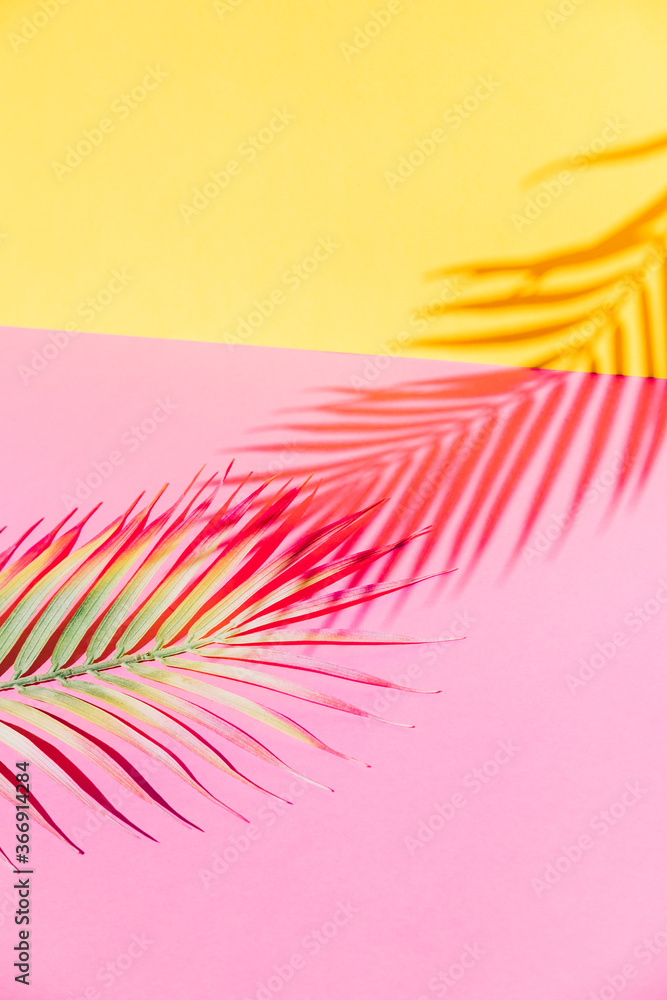 Fototapeta Tropical palm leaves branches and shadow over pink and yellow paper background. Summer theme concept