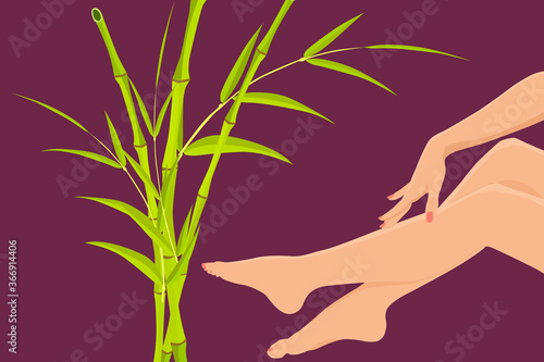 Female feet and hand with red nails polish pedicure on dark purple background with a bamboo plant. Woman legs with copy space for text or design. Pedicure and beauty concept. Flat vector illustration