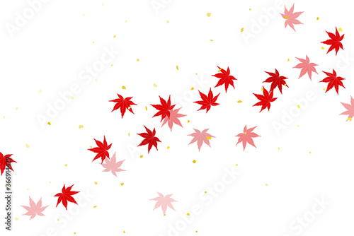 流れる秋の紅葉と白背景