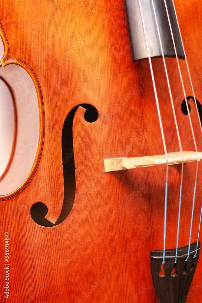 the central part of the double bass