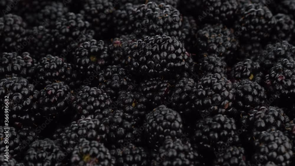 blackberry close up rotating. Fresh Ripe organic blackberries rotation backdrop close-up. bio blackberries top view, flat lay background. Macro shot blackberry close up rotating. Fresh Ripe organic blackberries rotation backdrop close-up. bio blackberries top view, flat lay background. Macro shot