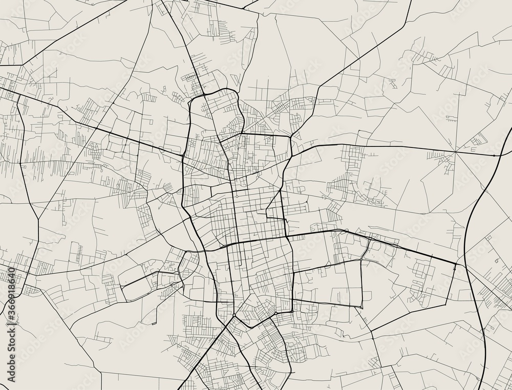 Vector map of Lodz. Street map art poster illustration. - obrazy, fototapety, plakaty 