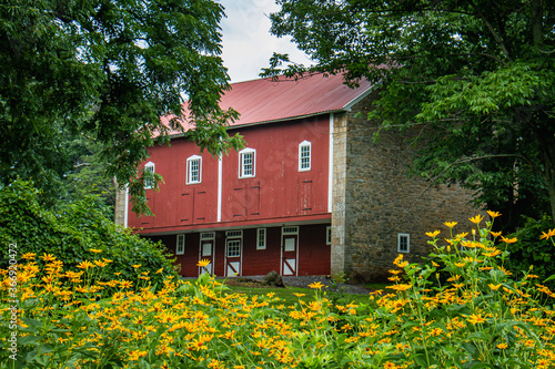 Classic red barn in summertime surrounded by flowers and trees