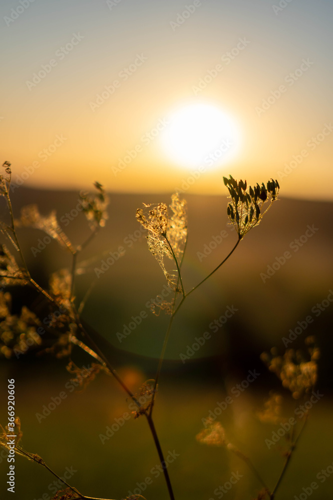 Obraz premium Sonnenuntergang