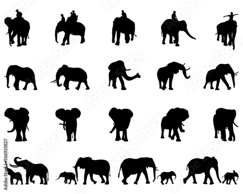 Black silhouettes of elephants on a white background