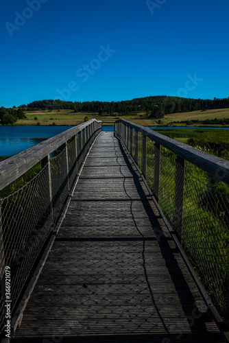 wooden jetty going out over lake in summer  Lozere   france . with blue sky
