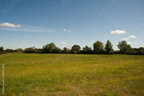 Fototapeta Naklejka Na Ścianę i Meble -  green meadow in summer with blue sky