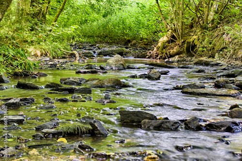 ruisseau cailloux