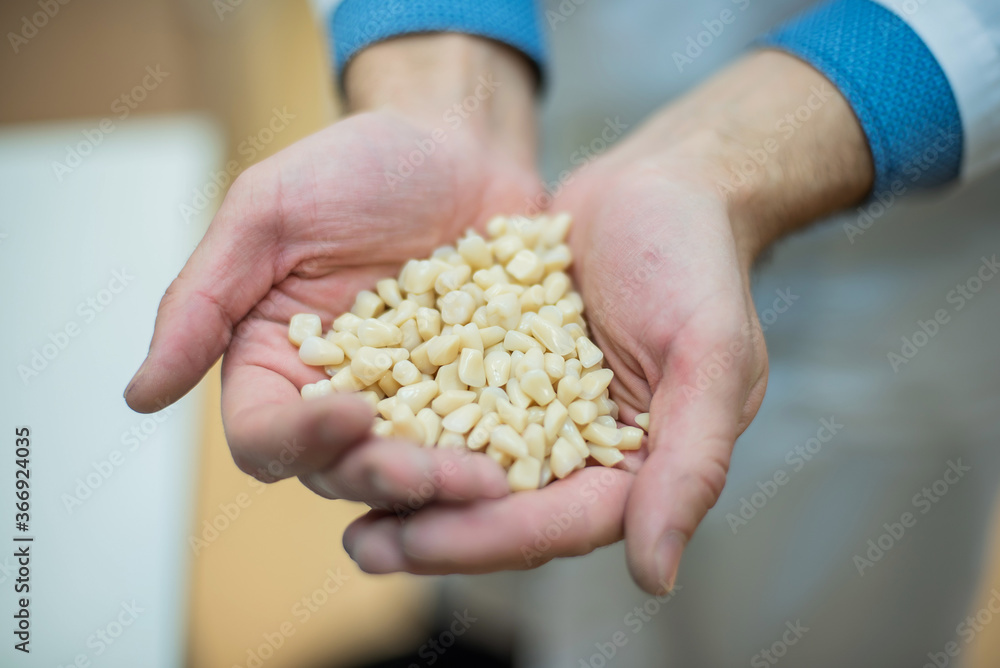 A dental technician is holding a bunch of dental implants. Close-up of male dentist hands with dentures. A dental technician is holding a bunch of dental implants. Close-up of male dentist hands with dentures.