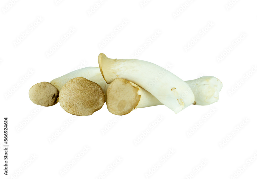 Eryngii Mushroom isolated on white background with clipping path Eryngii Mushroom isolated on white background with clipping path