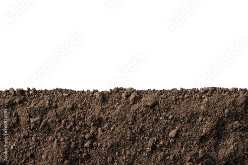 Loam for planting on a completely white backdrop.