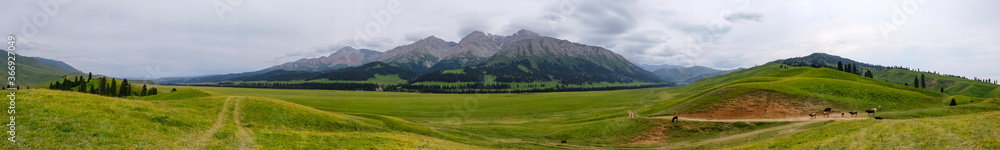 Panoramic landscape of green mountain valley with clouds. Adventure travel. Outdoor landscape. Summer vacation travel concept. Kazakhstan mountains, Tekes river valley. Tourism in Kazakhstan concept.