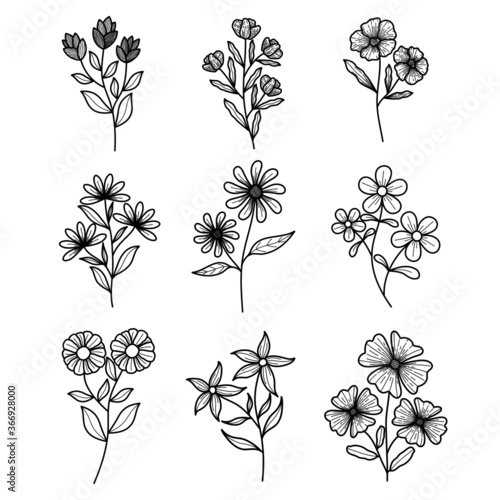 Set of isolate flowers on white background.