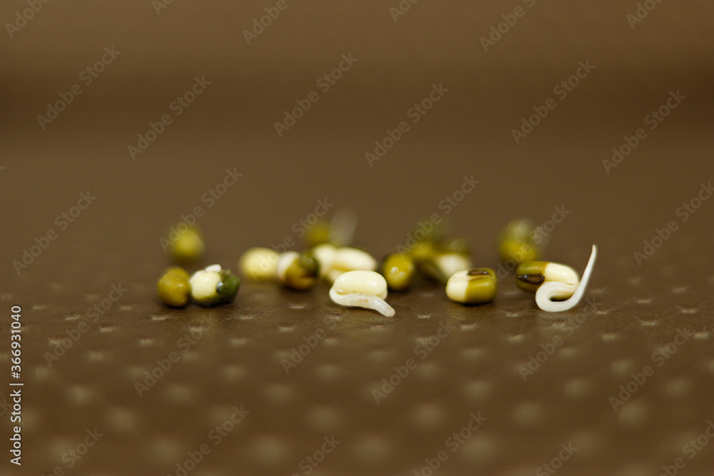 healthy sprouts in blurred background healthy sprouts in blurred background