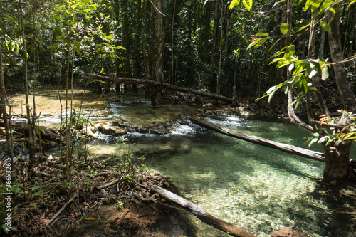 Fototapeta Naklejka Na Ścianę i Meble -  Stream in a natural area at Emerals Pool, east of Krabi in southern Thailand.