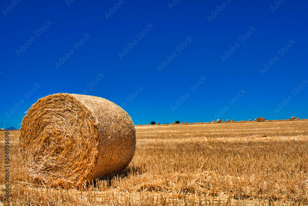 Bale of hay in rural field under beautiful blue sky near the Napier in the Overberg region of the Western Cape, South Africa