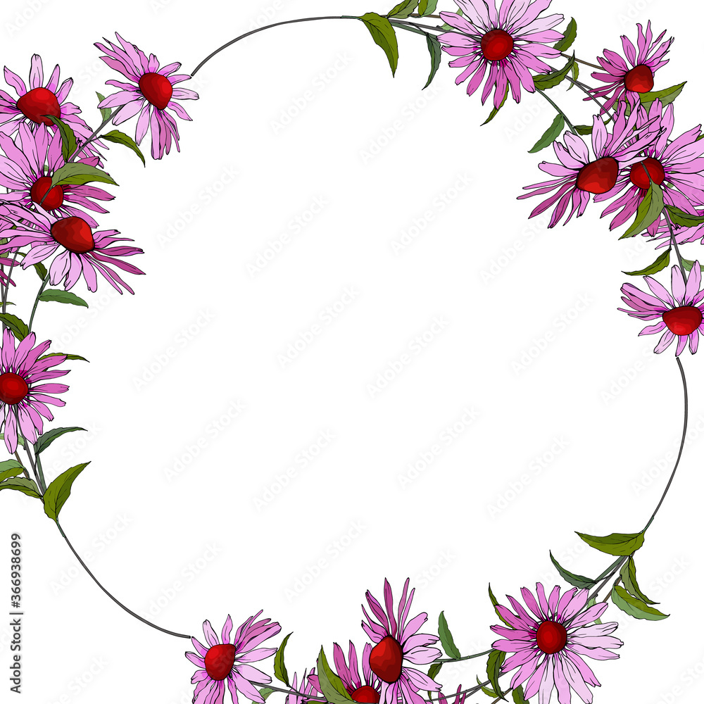 Obraz premium Vector floral frame of purple flowers. Round frame with Echinacea Purpurea and green leaves on white background. Design for invitation template, greeting card, saving the date card. 