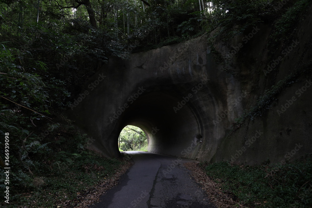 Obraz premium 恐怖のトンネル