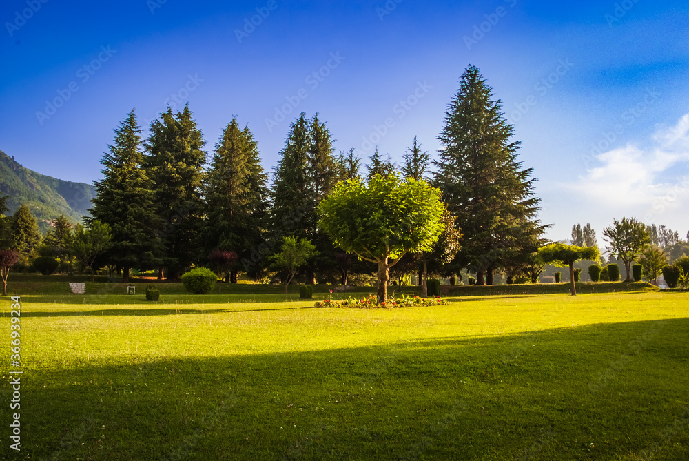 Plush green park alongside a beautiful lake in Kashmir. Dal Lake, Botanical Garden Plush green park alongside a beautiful lake in Kashmir. Dal Lake, Botanical Garden
