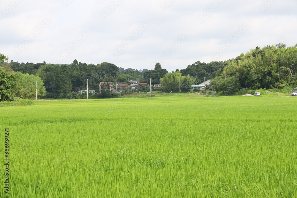 田園風景 田園風景