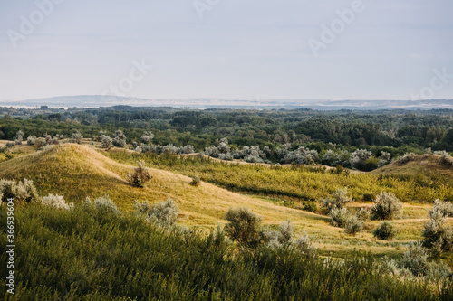 Scenic landscape with hills and meadow with green grass and trees.  © Bostan Natalia