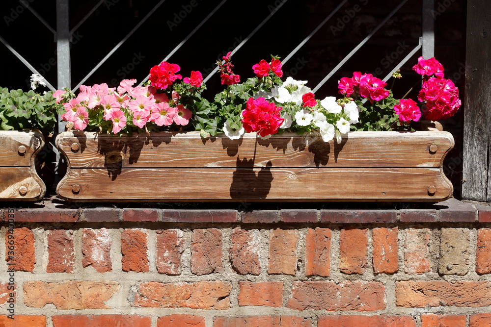 Blumenkasten aus Holz mit bunten Blumen auf einer Fensterbank