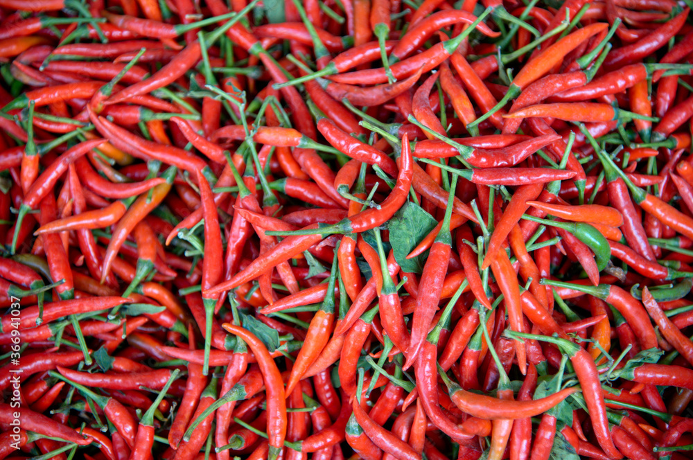 pile of red chili peppers