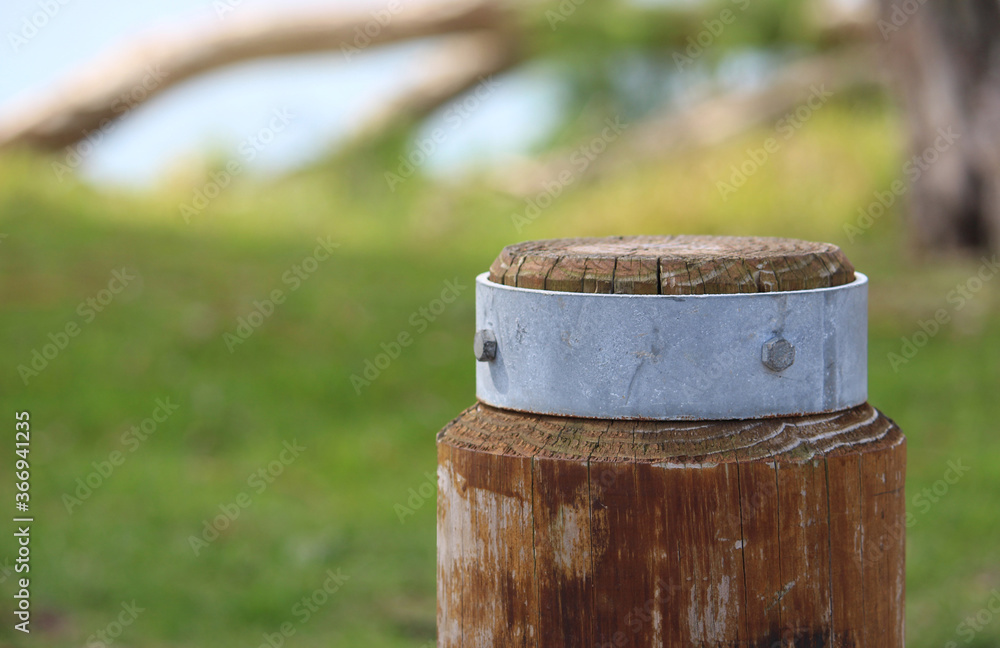 Fototapeta premium Timber and galvanised steel bollard in a coastal park. Silver Beach, Sydney