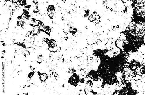 Wooden sycamore texture. Tree wood material.Grunge texture. Grunge black and white vector overlay. Grungy grainy surface.