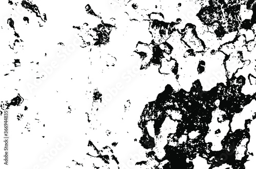 Wooden sycamore texture. Tree wood material.Grunge texture. Grunge black and white vector overlay. Grungy grainy surface.