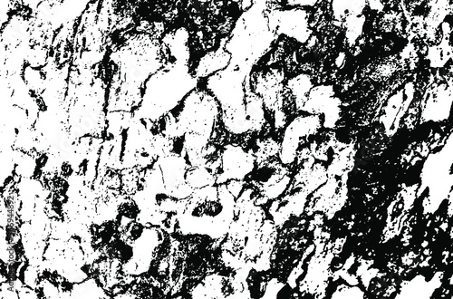Wooden sycamore texture. Tree wood material.Grunge texture. Grunge black and white vector overlay. Grungy grainy surface.