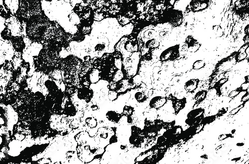Wooden sycamore texture. Tree wood material.Grunge texture. Grunge black and white vector overlay. Grungy grainy surface.