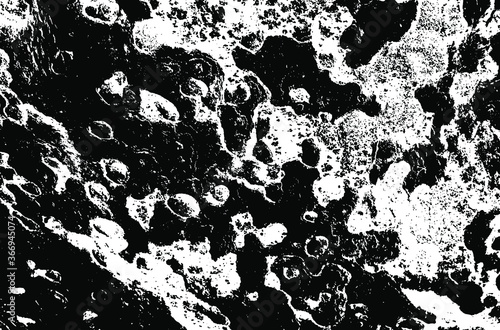 Wooden sycamore texture. Tree wood material.Grunge texture. Grunge black and white vector overlay. Grungy grainy surface.