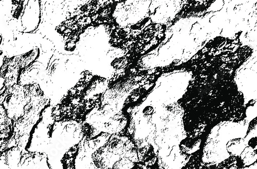 Wooden sycamore texture. Tree wood material.Grunge texture. Grunge black and white vector overlay. Grungy grainy surface.