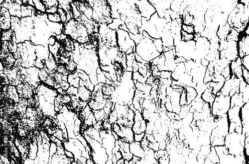 Wooden sycamore texture. Tree wood material.Grunge texture. Grunge black and white vector overlay. Grungy grainy surface.