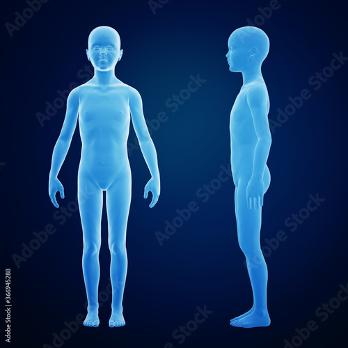 3d rendering of a child body from side and front © Andrus Ciprian