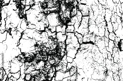 Wooden sycamore texture. Tree wood material.Grunge texture. Grunge black and white vector overlay. Grungy grainy surface.