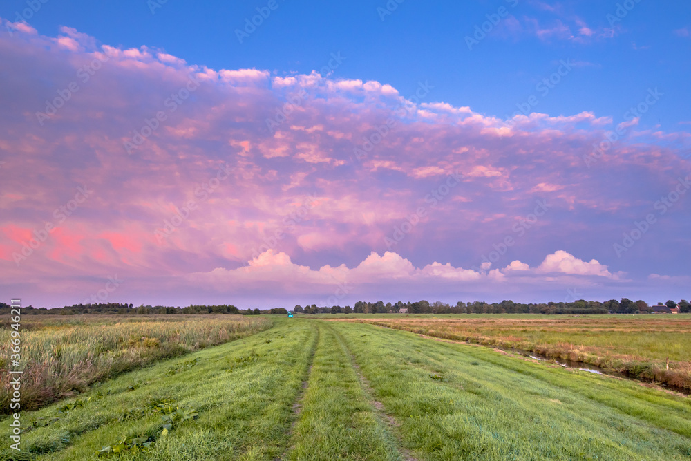 Naklejka premium Sunset over track through meadows