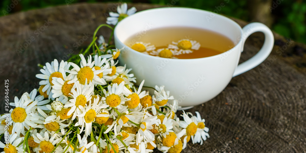 Bouquet of chamomile on a wooden stump and chamomile tea Bouquet of chamomile on a wooden stump and chamomile tea