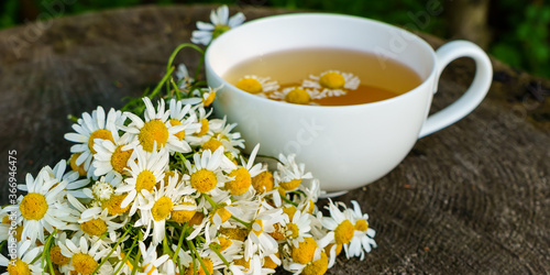 Bouquet of chamomile on a wooden stump and chamomile tea
