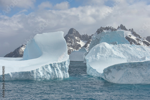 Cooper Bay  Floating Icebergs  South Georgia  South Georgia and the Sandwich Islands  Antarctica