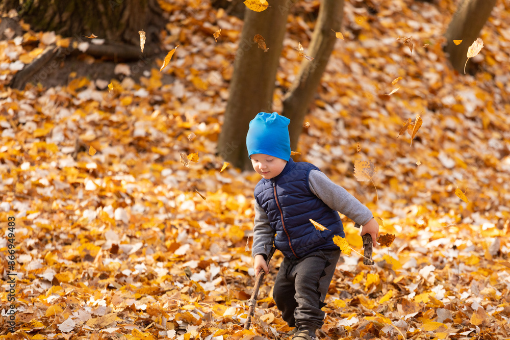 The child is played in the autumn foliage The child is played in the autumn foliage