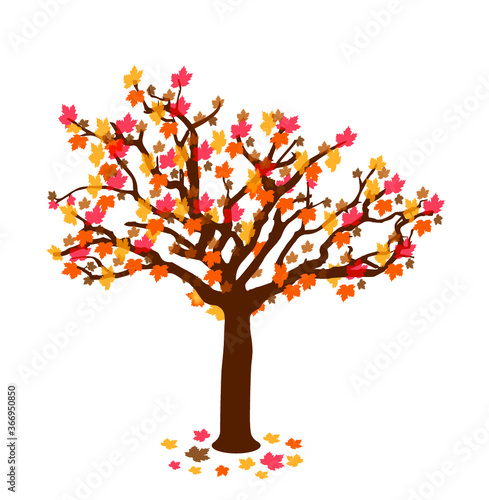 abstract, autumn, beautiful, beauty, botany, branch, color, colorful, dead leaves, decorative, environment, fall, forest, gold, leaf, light, nature, october, orange, outdoors, plant, red, season, sept