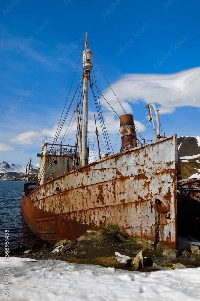Poster Wreck of the whaler ship Petrel, Former Grytviken whaling ...