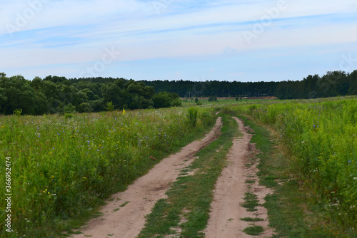 a dirt road along the fields