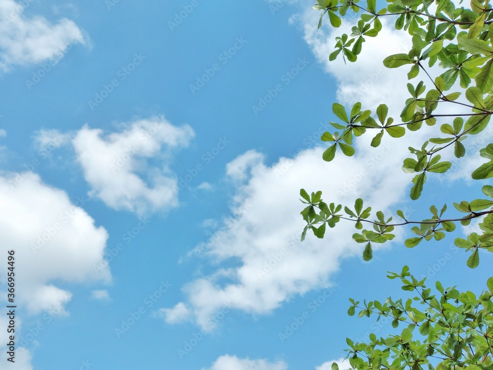 sky and clouds sky and clouds