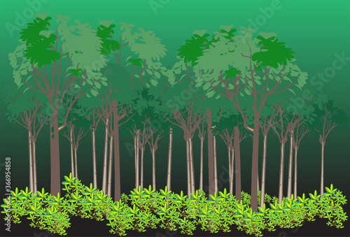 save tree save forest concept  green tree background.